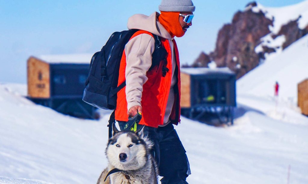 Person Walking Husky in the Snow