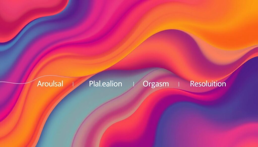 menstrual cycle